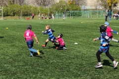 StartOfSeason_2019-51